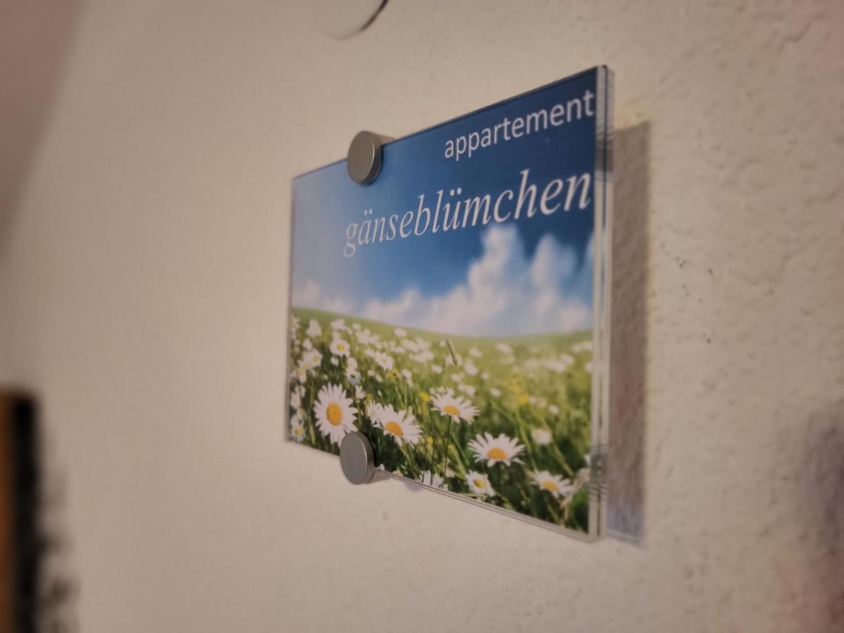 Sunnaschi Appartements - Wohnungen Oder Gesamt Als "Huette" Laterns Exterior photo