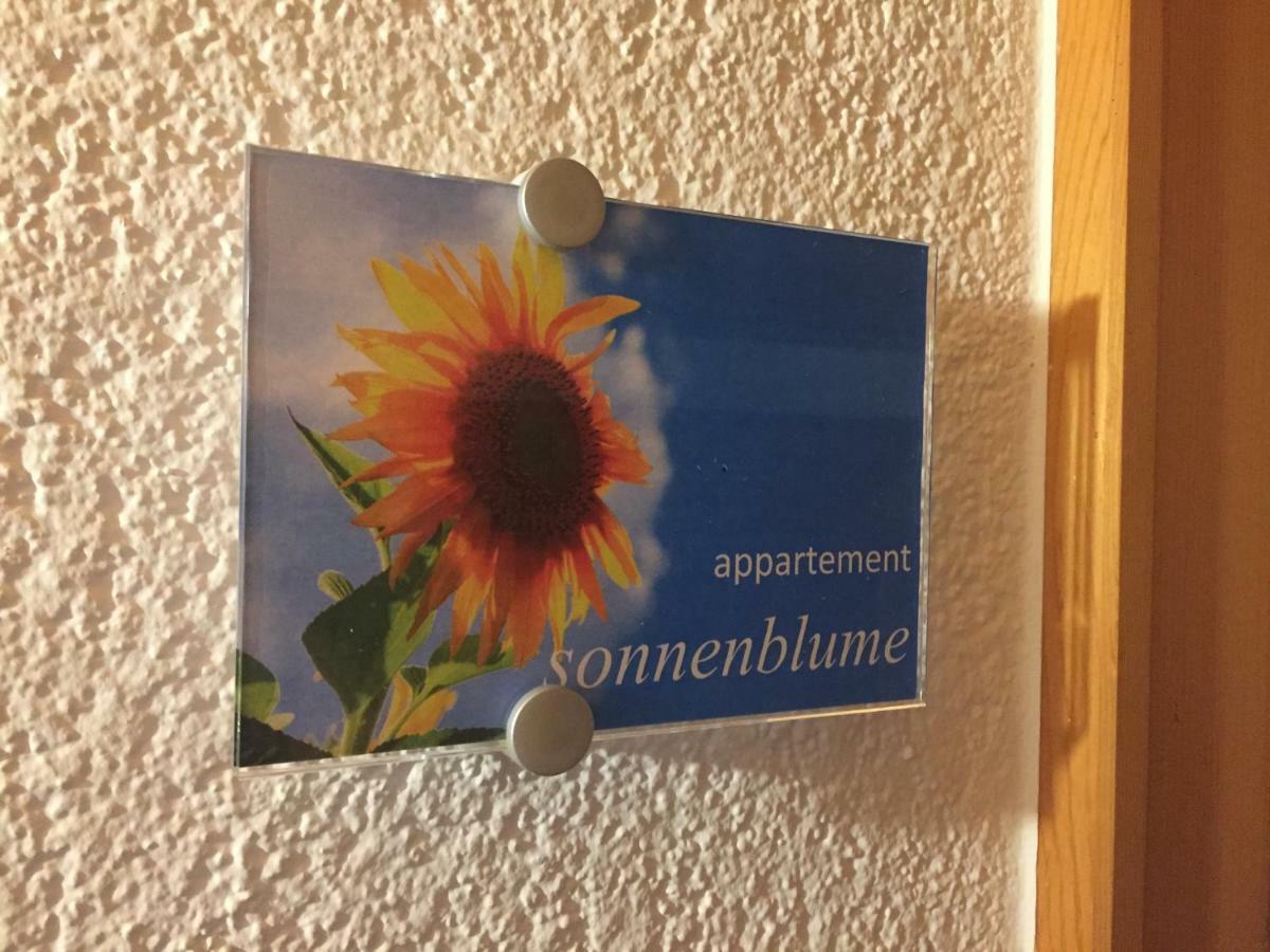 Sunnaschi Appartements - Wohnungen Oder Gesamt Als "Huette" Laterns Exterior photo